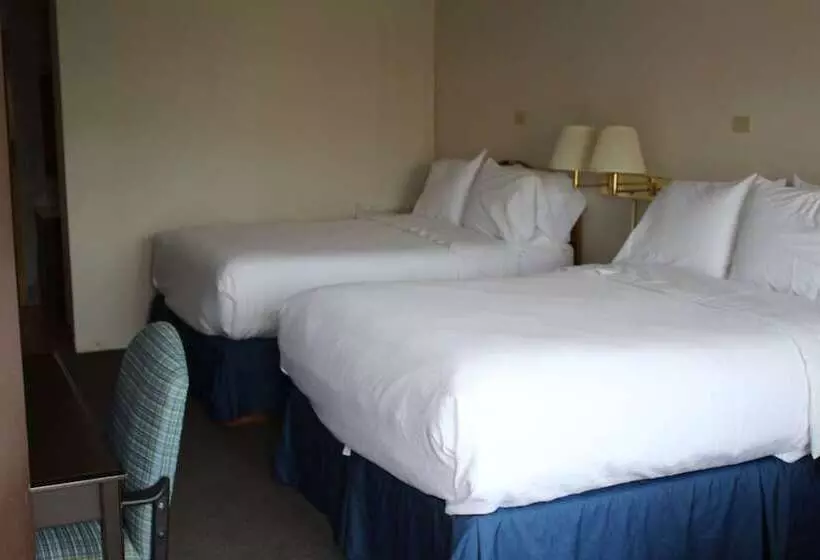 فندق Grapevine Inn