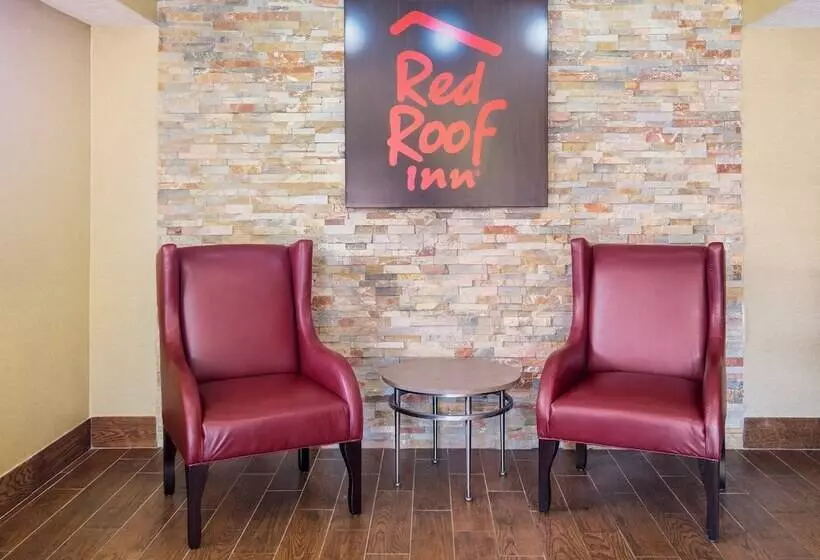 ホテル Red Roof Inn Jacksonville  Orange Park