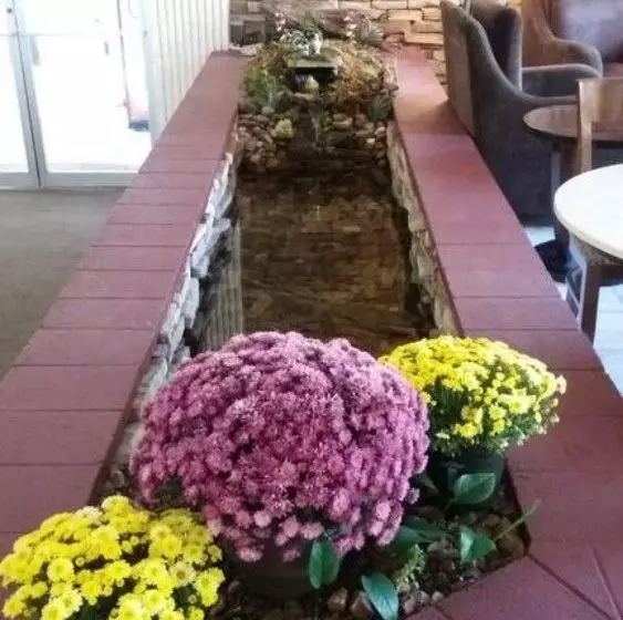 فندق Athens Lodge