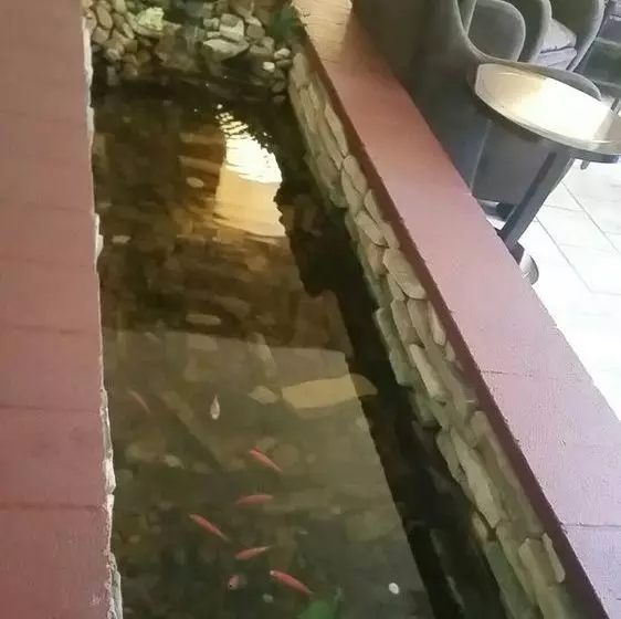 فندق Athens Lodge