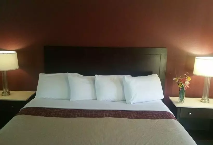 فندق Athens Lodge