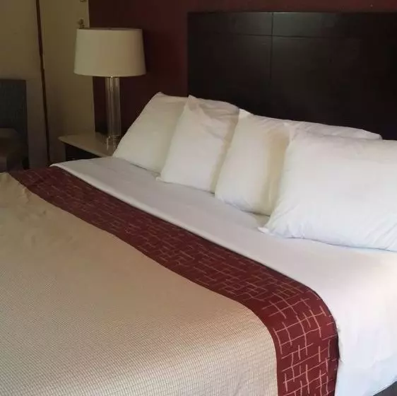 فندق Athens Lodge