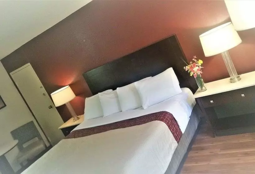 فندق Athens Lodge