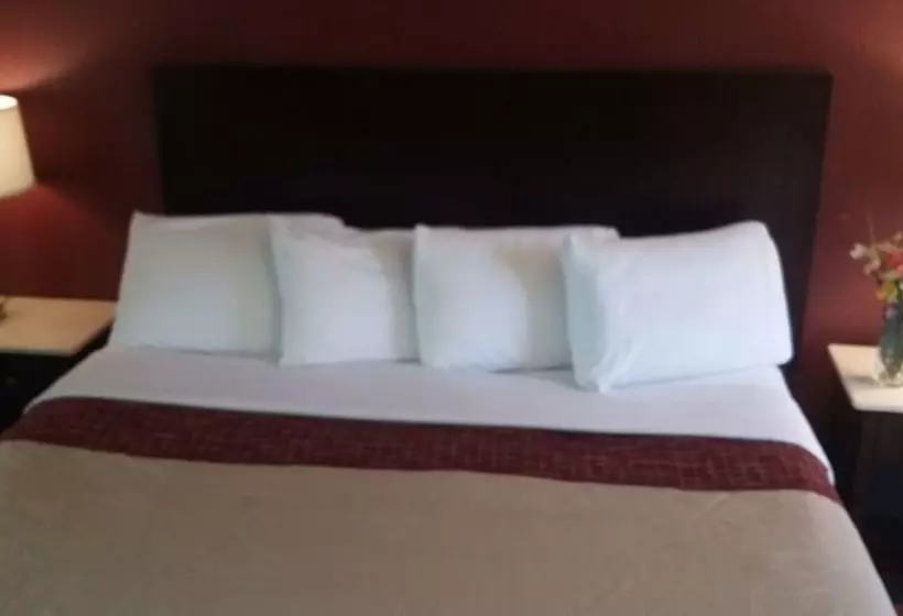 فندق Athens Lodge