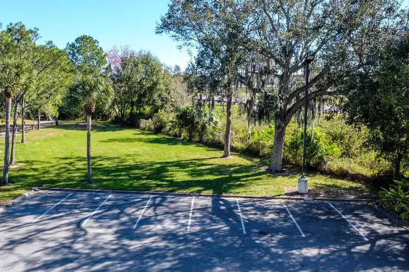 בית מלון כפרי Red Roof Inn Tampa  Brandon