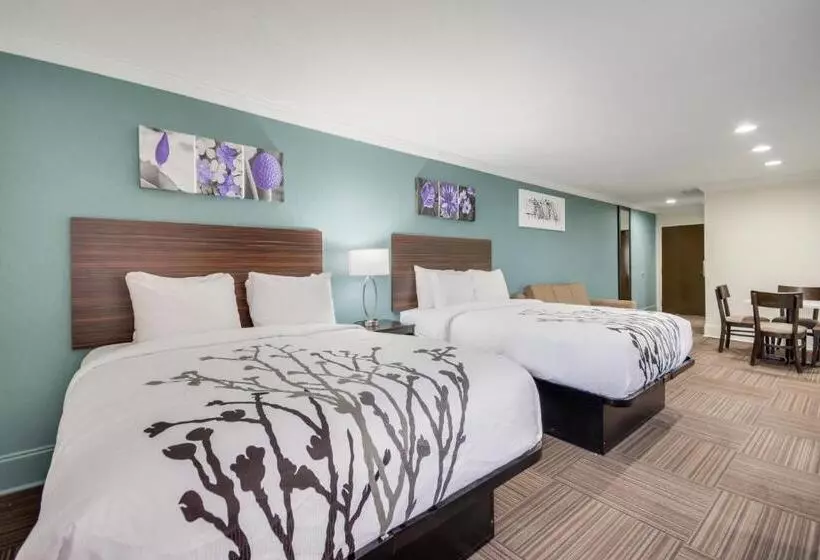 Отель Sleep Inn & Suites Niceville   Destin