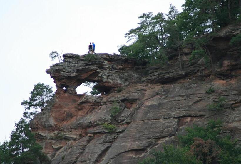 مبيت وإفطار Chambre D'hotes Petit Arnsbourg