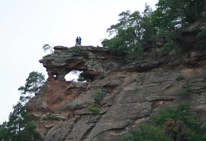 ベッドアンドブレックファースト Chambre D'hotes Petit Arnsbourg