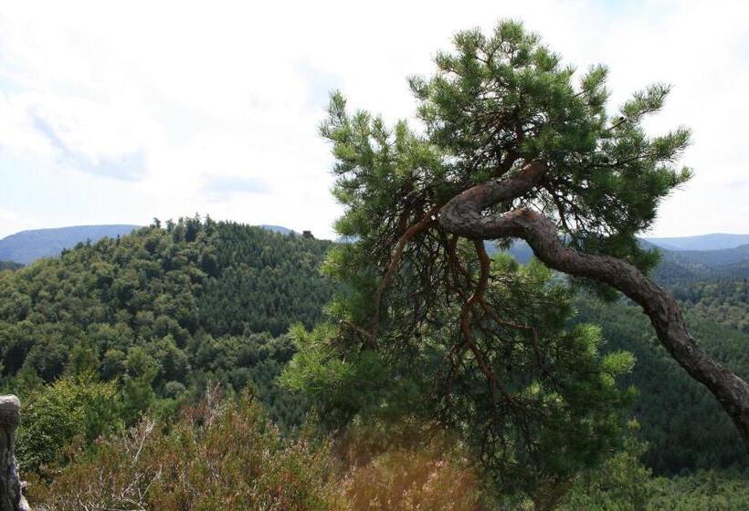 مبيت وإفطار Chambre D'hotes Petit Arnsbourg