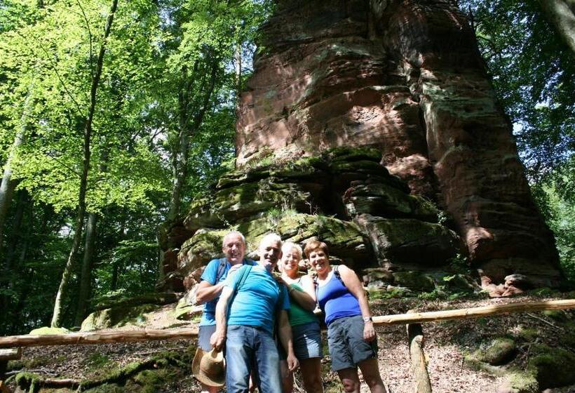 مبيت وإفطار Chambre D'hotes Petit Arnsbourg