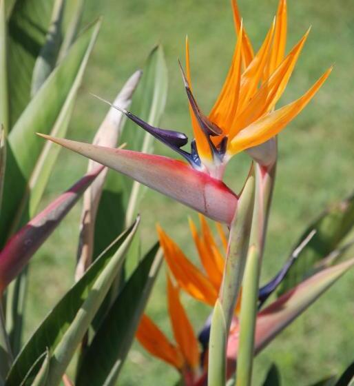 צימר Domaine à L Aise Piscine Chauffée