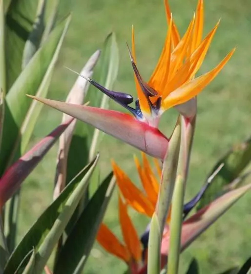 Aamiaismajoitus (B&B) Domaine à L Aise   Piscine Chauffée