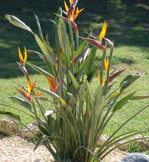 צימר Domaine à L Aise Piscine Chauffée