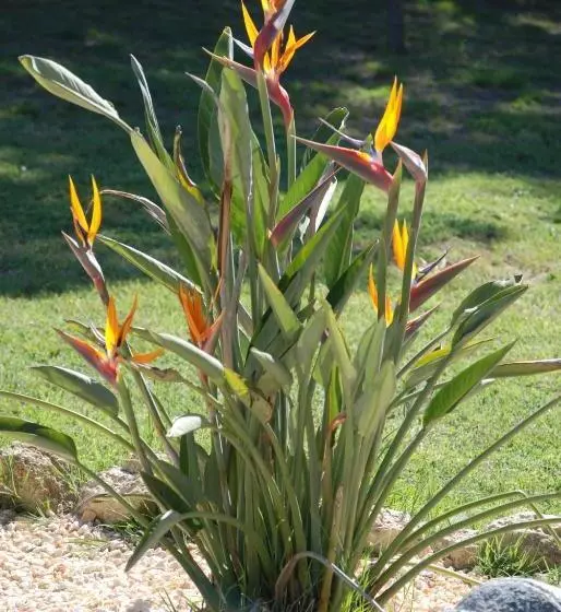 Aamiaismajoitus (B&B) Domaine à L Aise   Piscine Chauffée