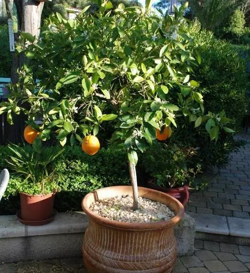 Aamiaismajoitus (B&B) Domaine à L Aise   Piscine Chauffée