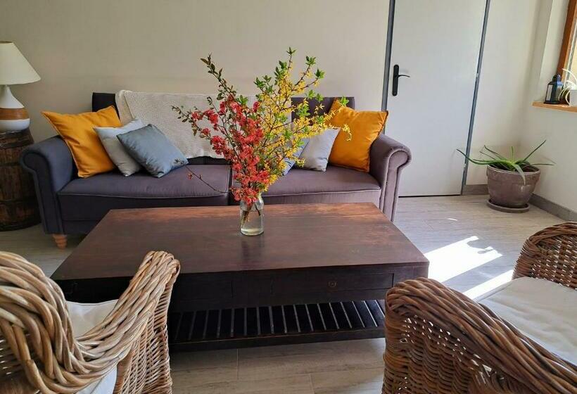 בית מלון כפרי Relais Saint Vincent