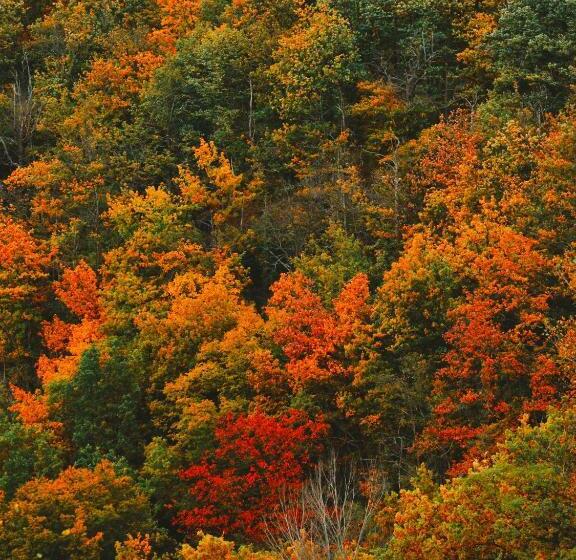 Отель Zur Margarethenmühle   Landgasthof Und Wald