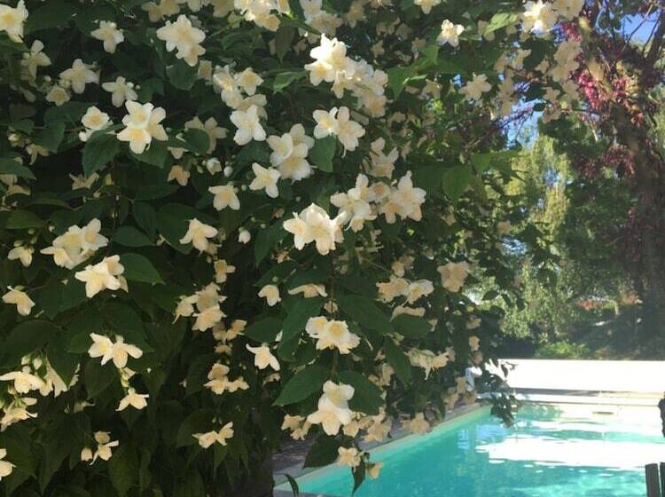 פנסיון L Escale Du Loup Blanc