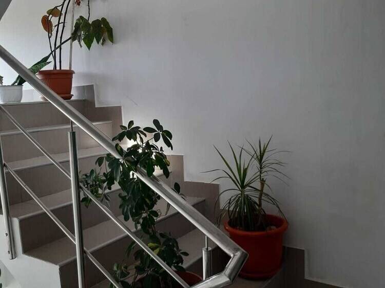 Pensiunea Cristian Alexandru