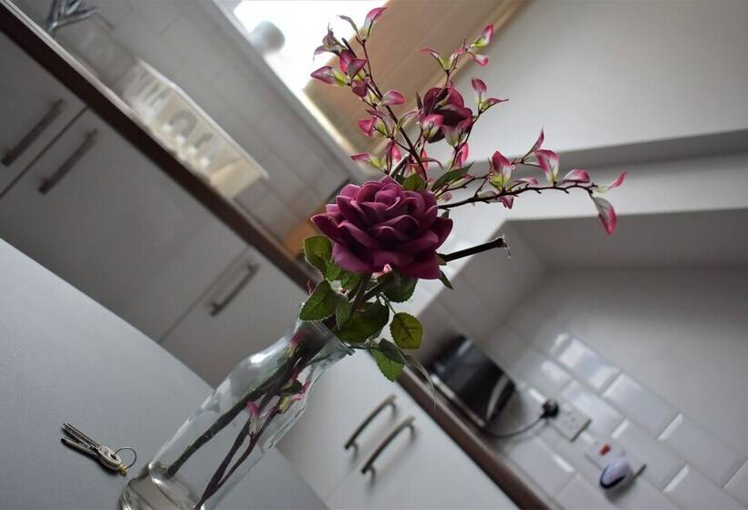 Apartments Argyle Square