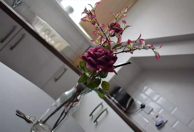 Apartments Argyle Square