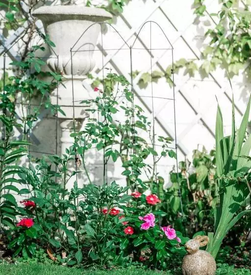 تختخواب و صبحانه La Maison Charmante