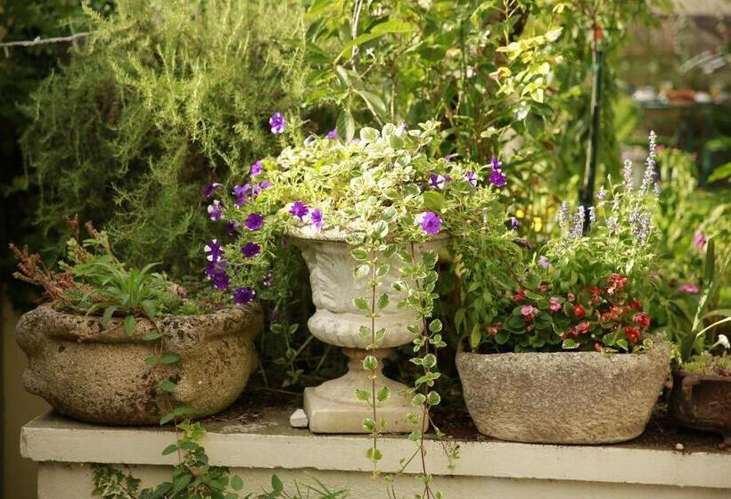 تختخواب و صبحانه La Maison Charmante