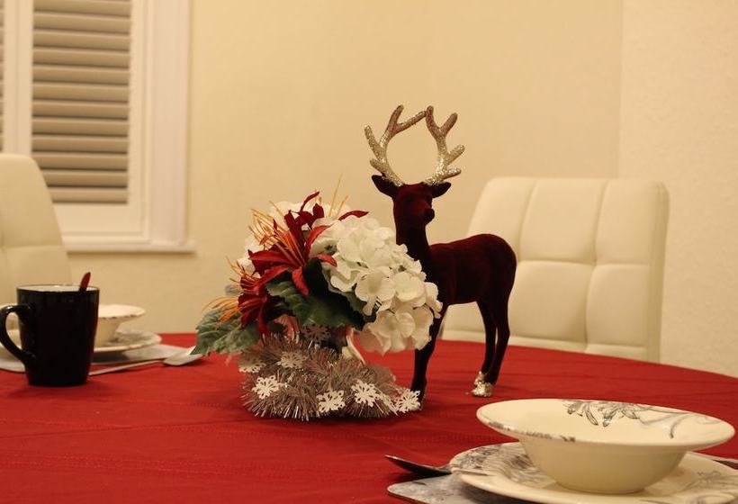 ベッドアンドブレックファースト Raven Haven Glastonbury