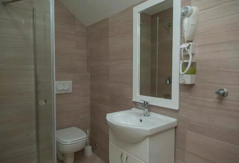 هتل Niš City Center Guest House