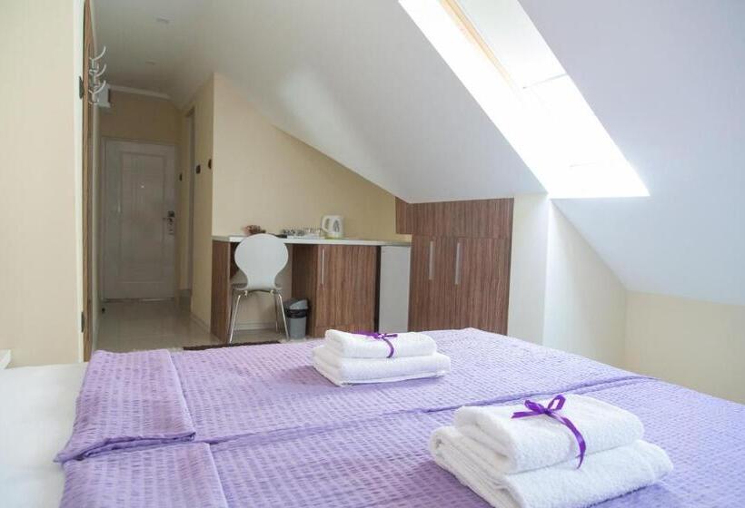 هتل Niš City Center Guest House