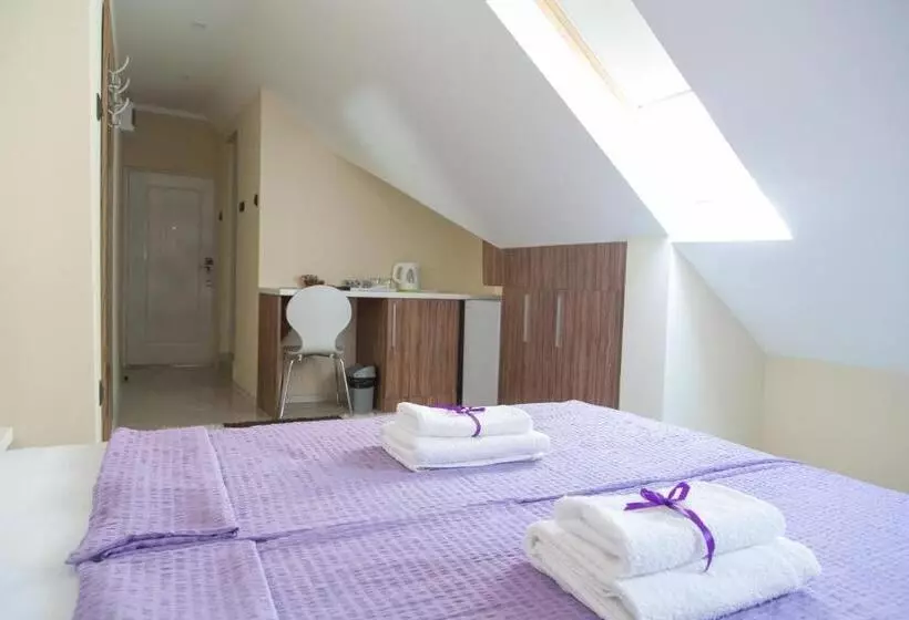 هتل Niš City Center Guest House