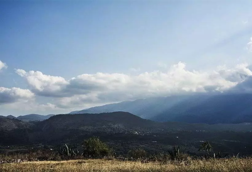 Plakalona