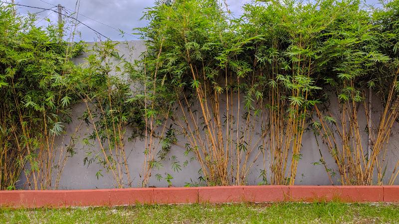 ホテル Sakinah Family Residence