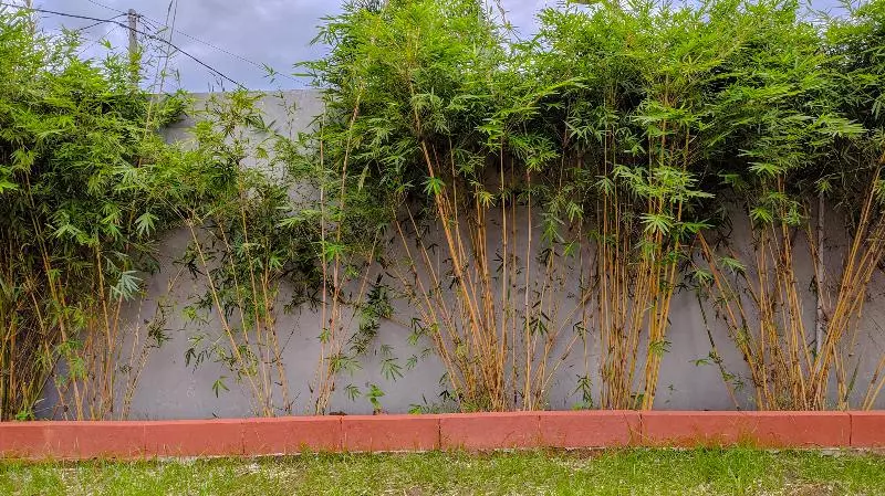 Hotelli Sakinah Family Residence