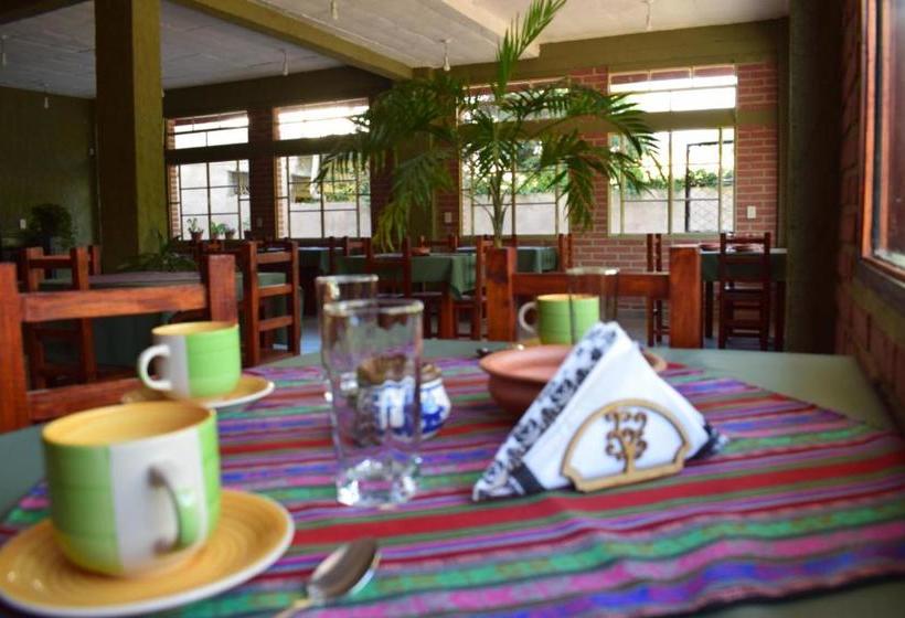 호스텔 Camino A Termas