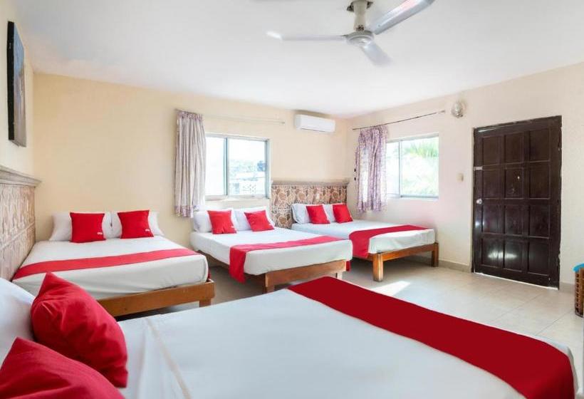 Fotos del hotel San Jorge:  14