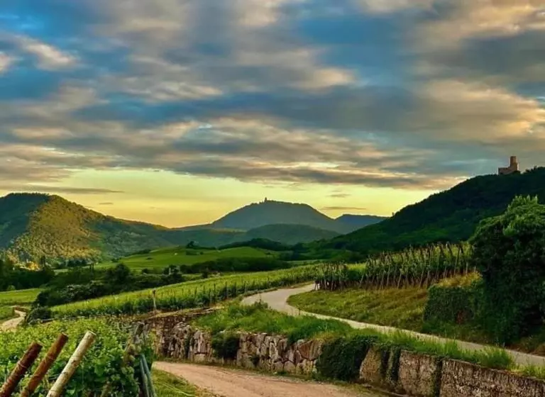 Majatalo Chambre Double Dans Auberge Alsacienne