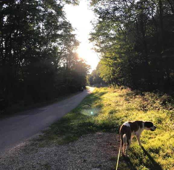 膳宿费 Chambre Double Dans Auberge Alsacienne