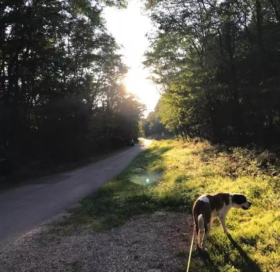 Majatalo Chambre Double Dans Auberge Alsacienne