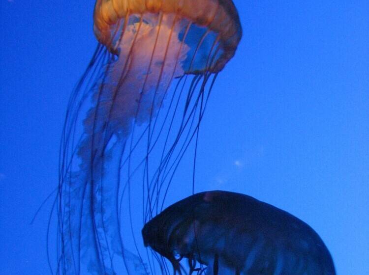 호텔 The Bostonian Boston