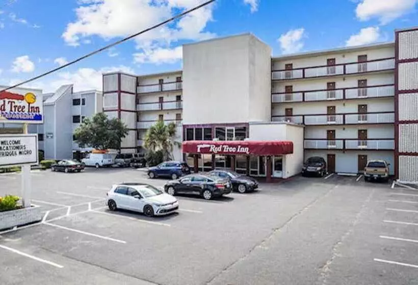 هتل The Red Tree Inn