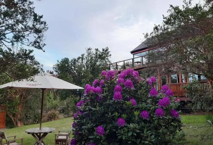 Hostel Torobayo