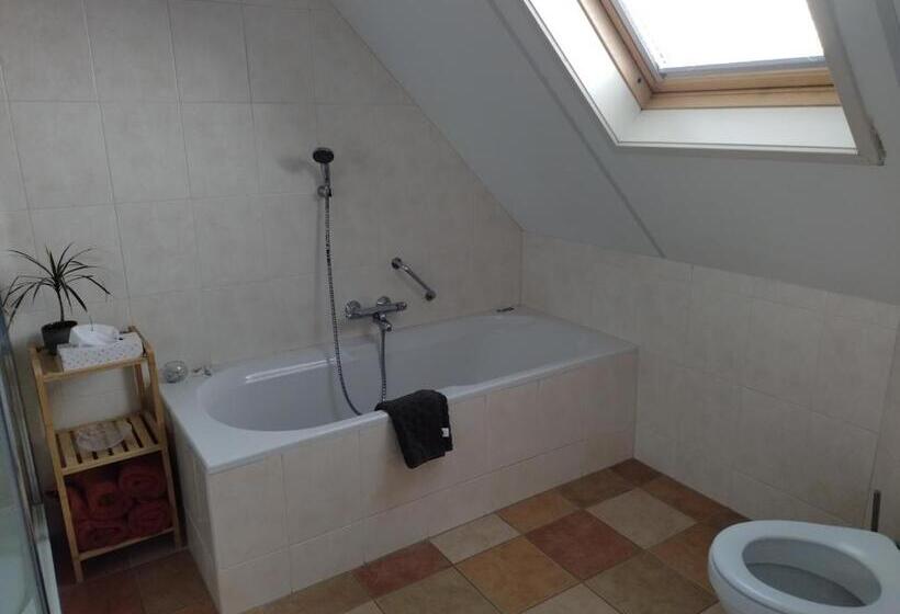 צימר De Stormvogel