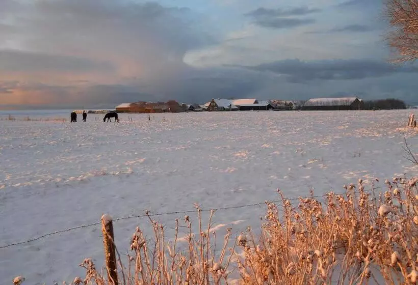 ベッドアンドブレックファースト De Stormvogel