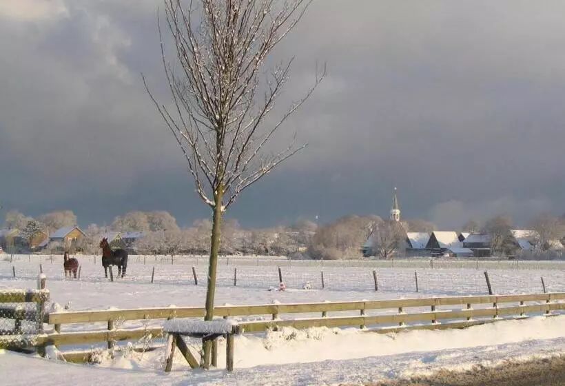 ベッドアンドブレックファースト De Stormvogel