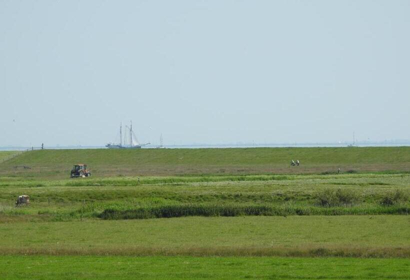 צימר De Stormvogel