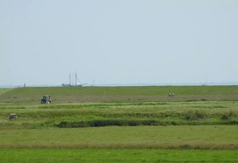 ベッドアンドブレックファースト De Stormvogel