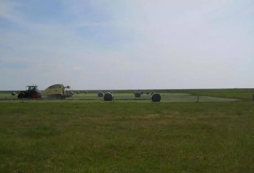 ベッドアンドブレックファースト De Stormvogel