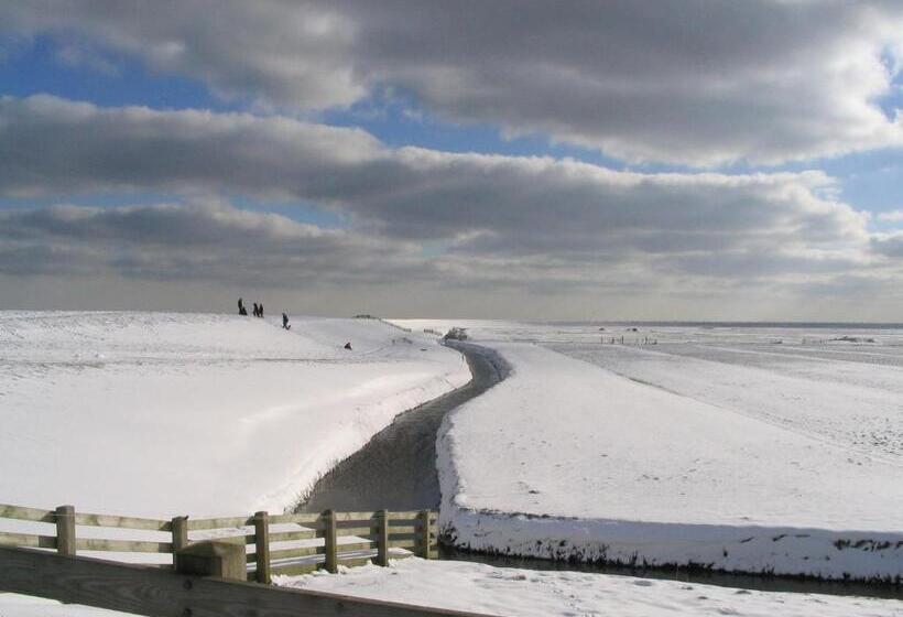 צימר De Stormvogel
