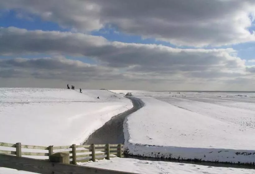 ベッドアンドブレックファースト De Stormvogel